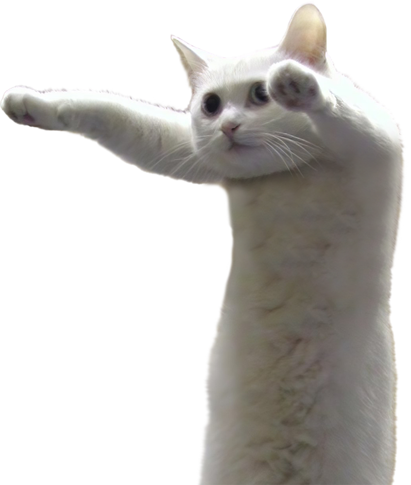 Nobiko Cat